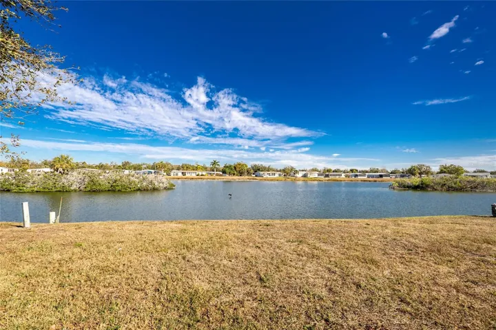 Your backyard view of the Bird Rookery'sA Florida Treat!