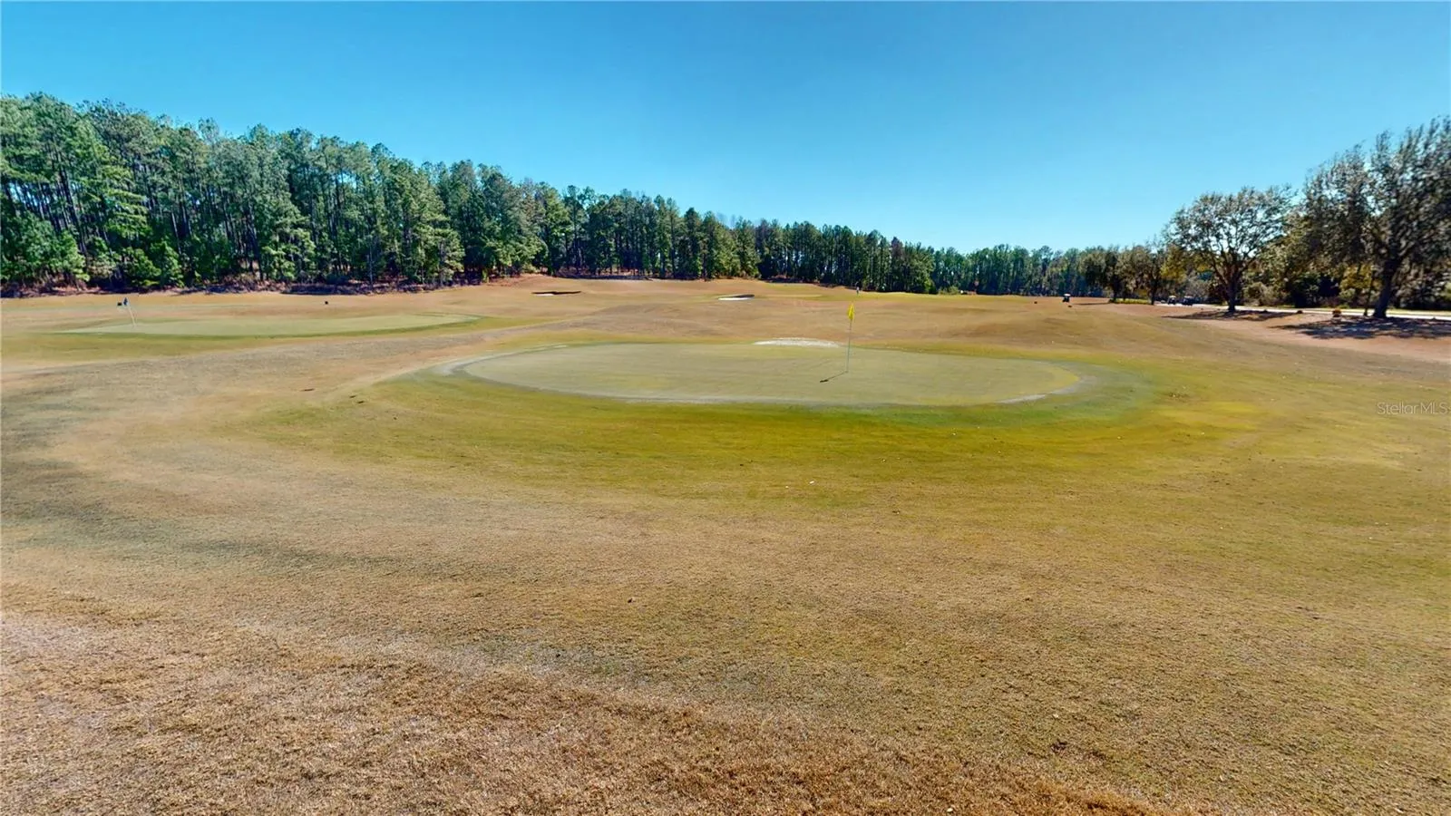 Practice Area