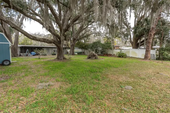 Back yard view with a beautiful, mature tree canopy.