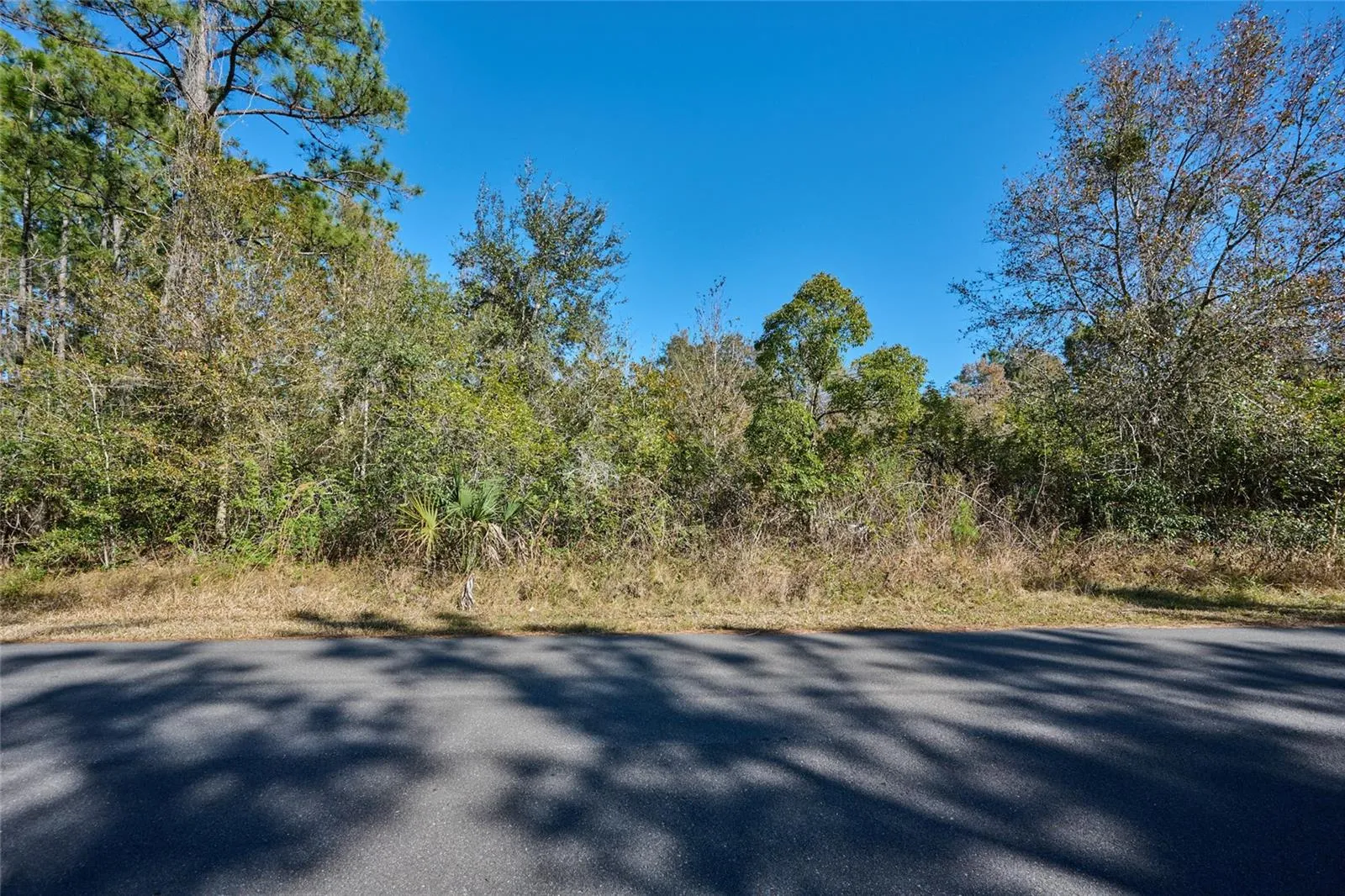 LANTANA STREET VIEW