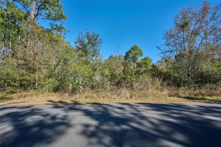 LANTANA STREET VIEW