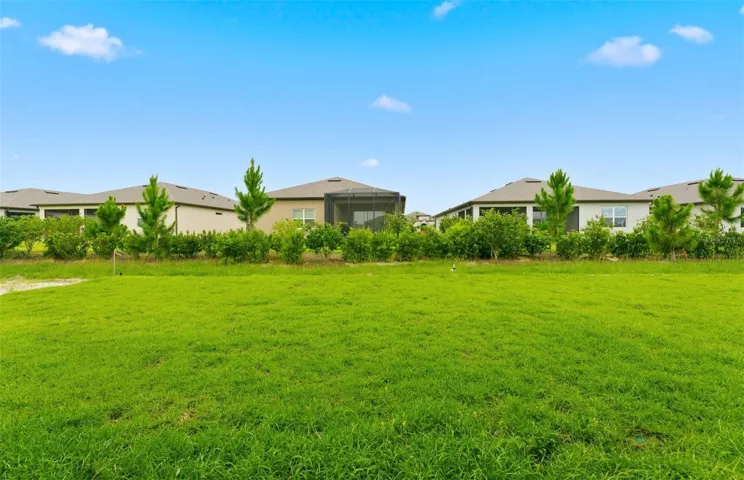 Spacious Backyard