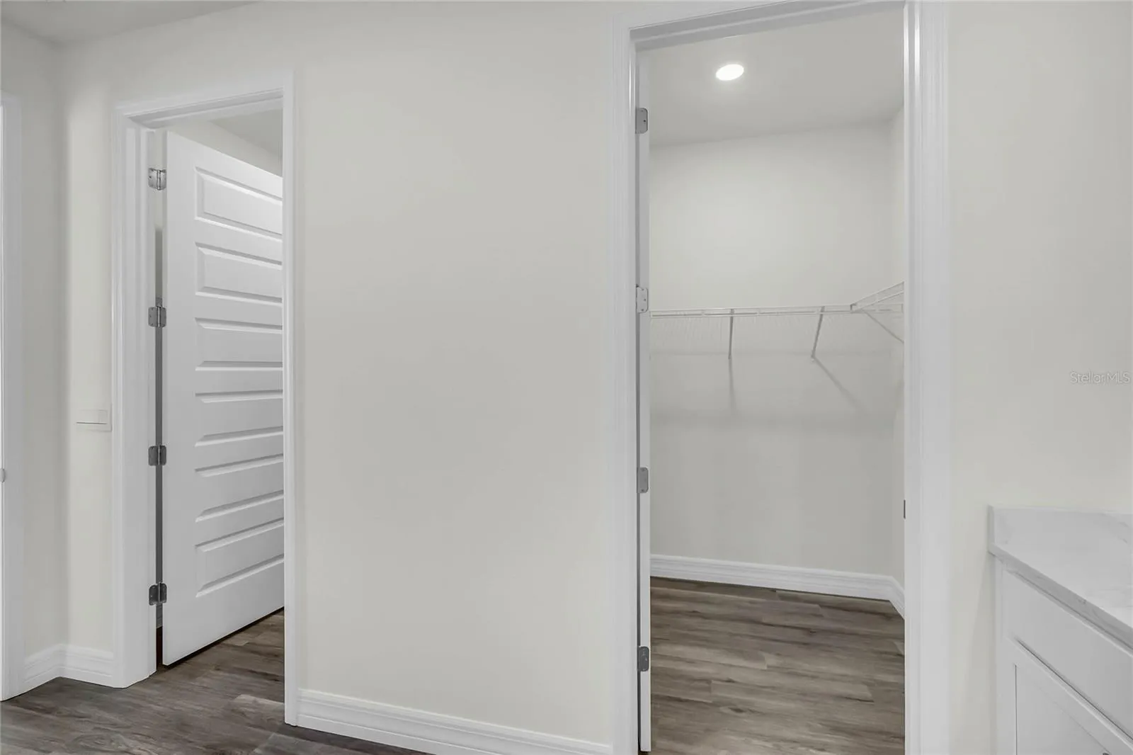 5231 Ligonberry St, Lakeland, Florida 33811 — photo 19