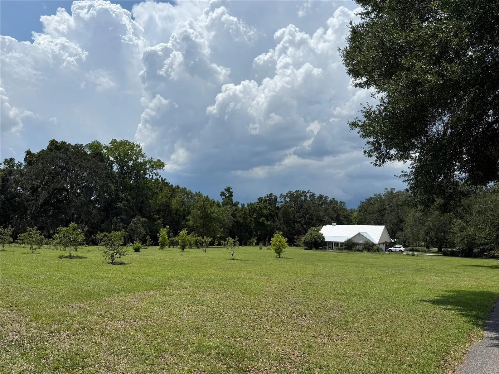 Front Yard
