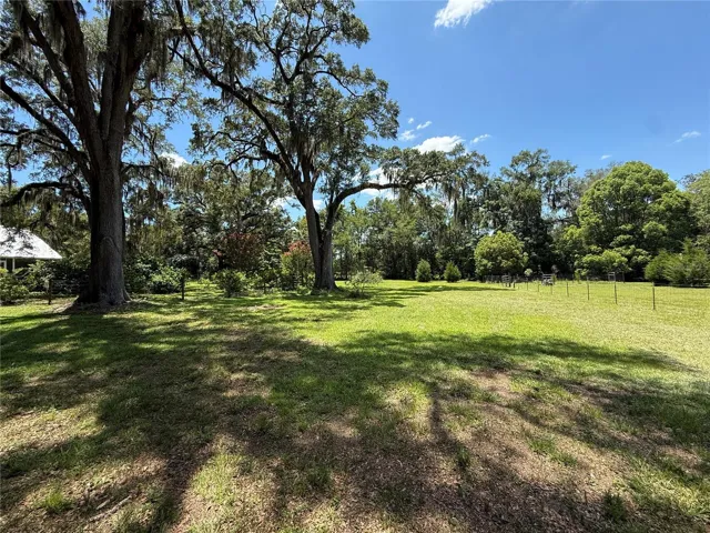 Oak Trees and Rear Pasture Area