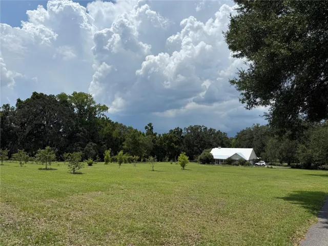 Front Yard