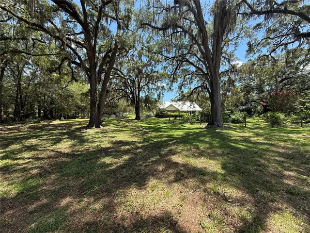 Rear Oak Trees