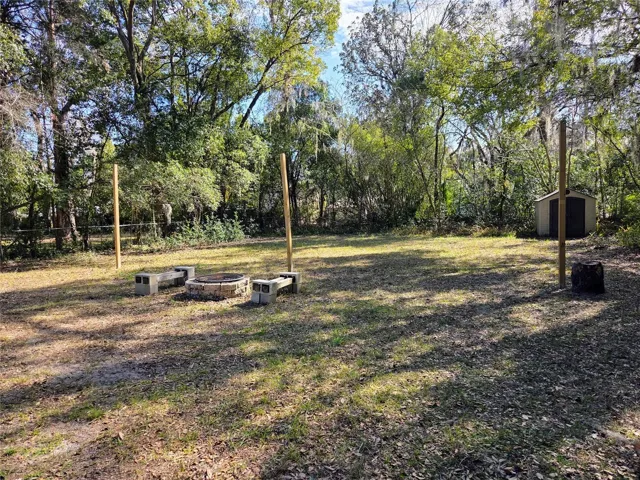 Backyard facing away from house