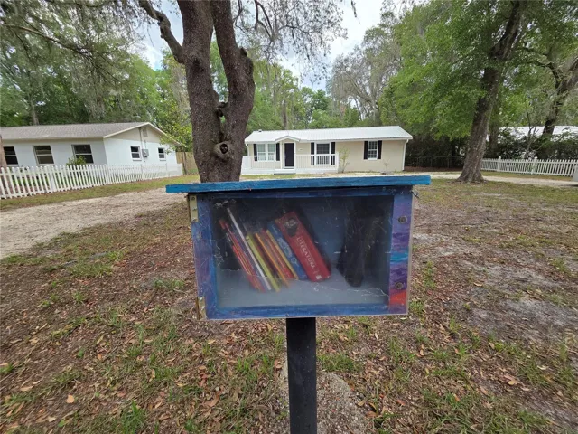 Little Free Library near street