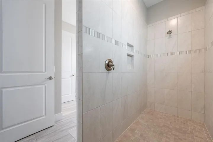 Primary Shower