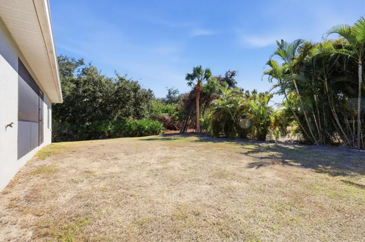 BACK YARD
