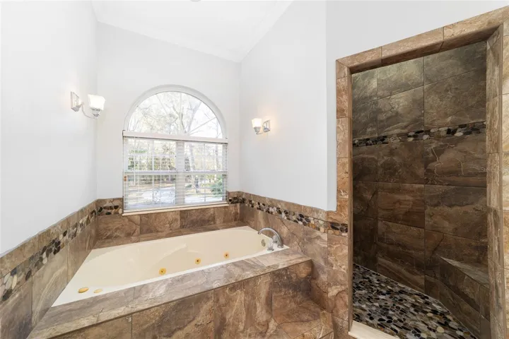 Primary Shower and Bath