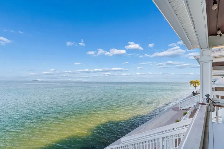 Views of Tampa Bay