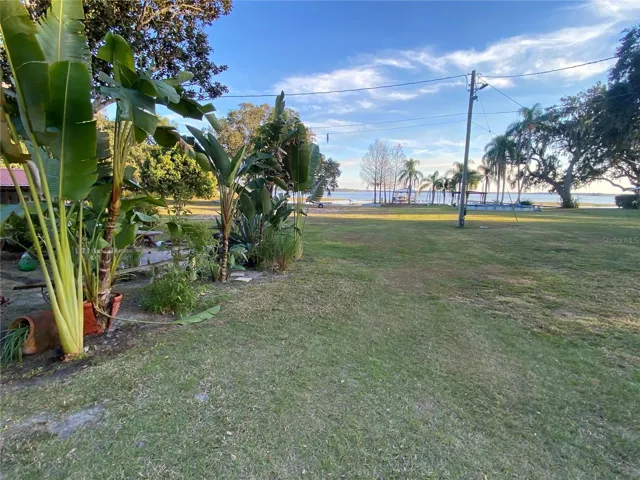 RIGHT SIDE LOT VIEW