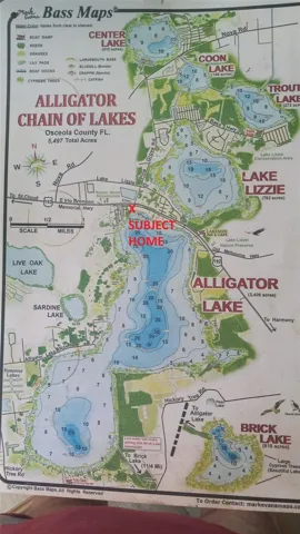 MAP OF SUBJECT ON ALLIGATOR LAKE