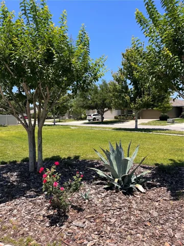 Park view
