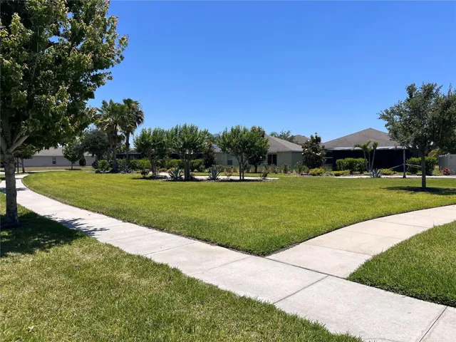 Walking paths across the street
