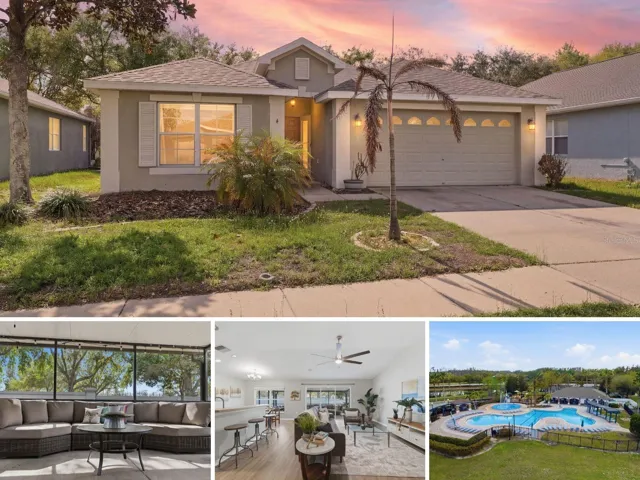 This one has it all at an incredible price.