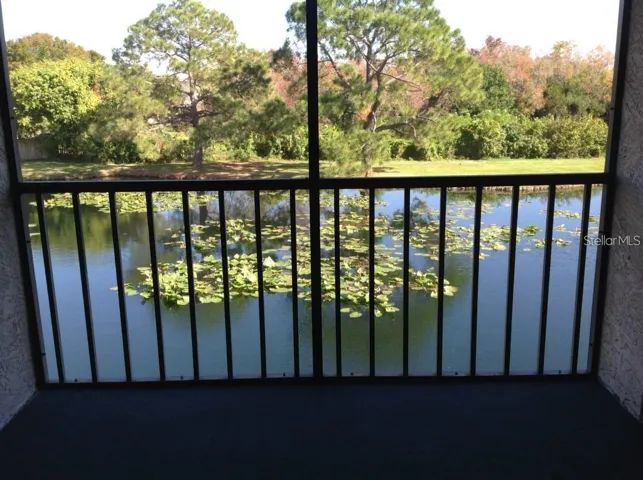 View from balcony
