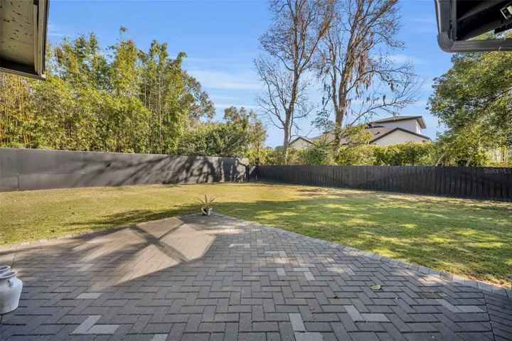 Back yard