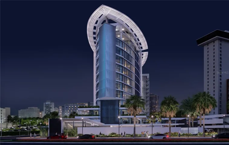 Night