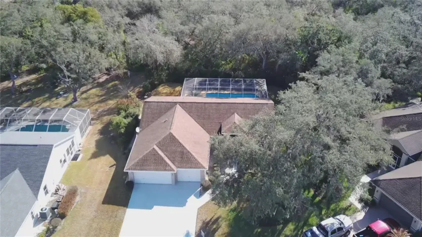 Drone View