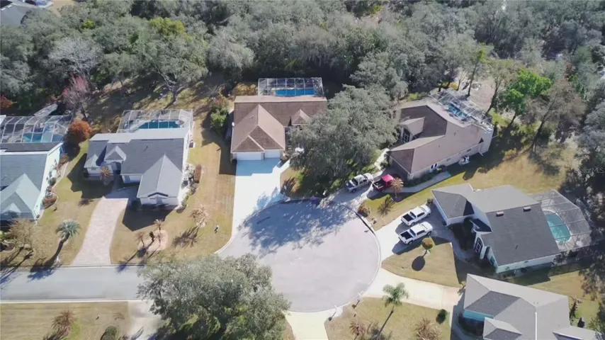 Drone View