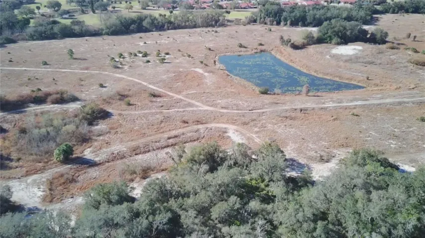 Drone View