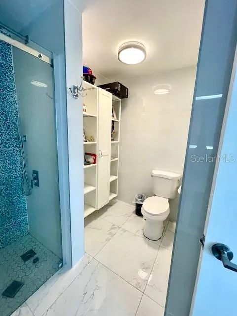 guest bathroom toilet area