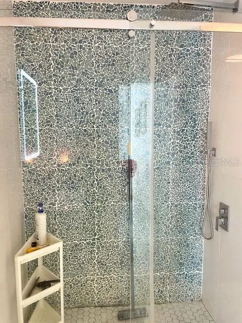guest bathroom shower area