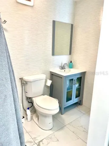 primary bathroom toilet area