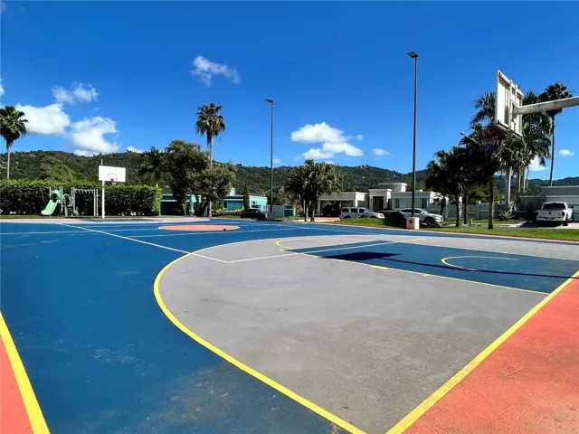 Basketball court
