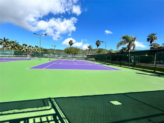 Tennis court