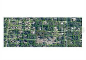 Vacant Wooded Lot