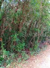 close view of access point to the vacant lot