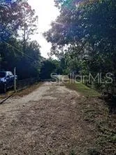 looking back from vacant property at the end of the dead end road
