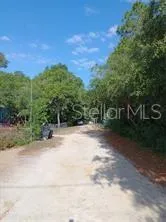 road that leads to the vacant lot-dead end road