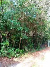 visible area for accessing the property-location for the driveway
