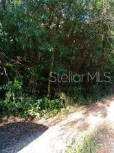 Access point to vacant lot