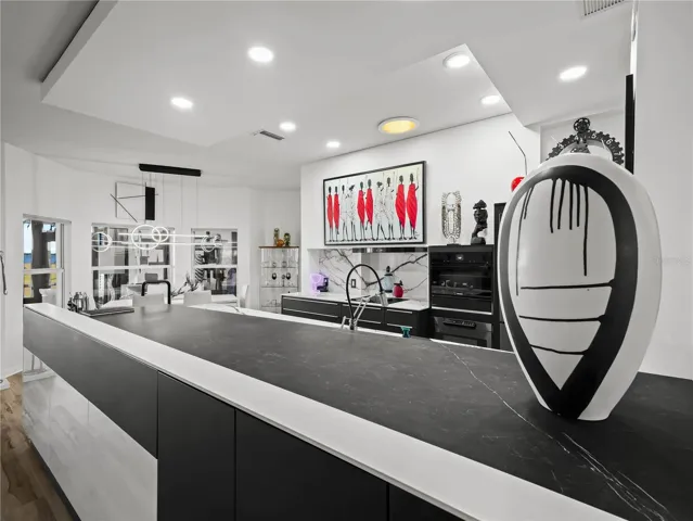 Modern Sleek Counters and Cabinets