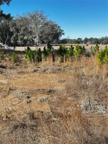 Rear facing West
