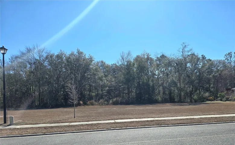 looking at the lot from the street