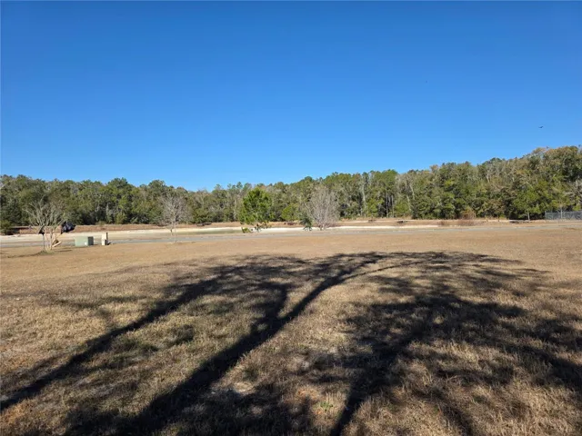 view from the rear of the lot