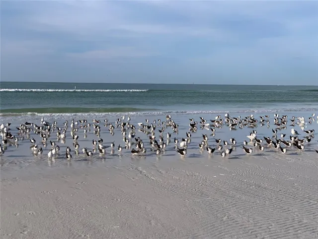 1170