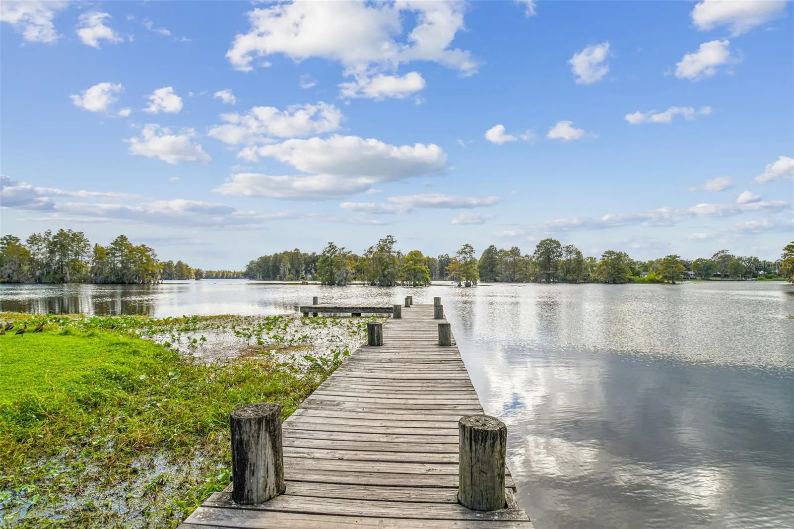 Riverhills Dock &amp; Boat Launch