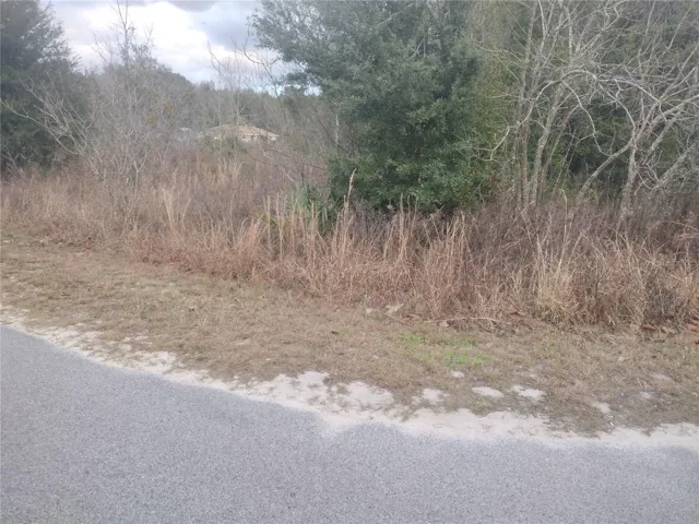 Side View from NW 55 Avenue