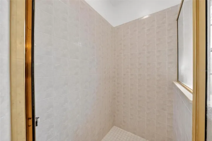 Primary Bathroom Shower