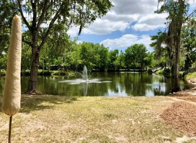 Normal condition of pond