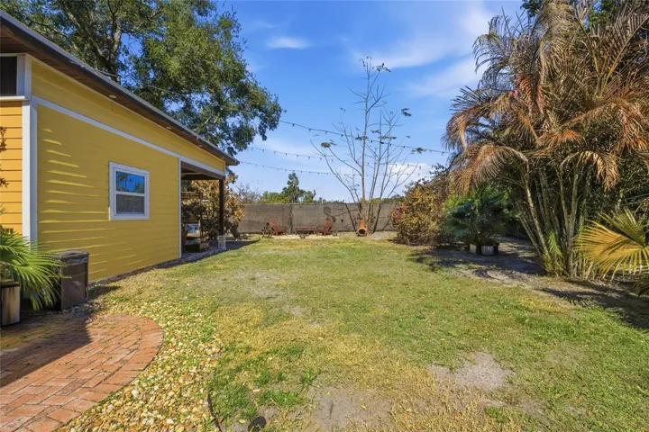Back Yard