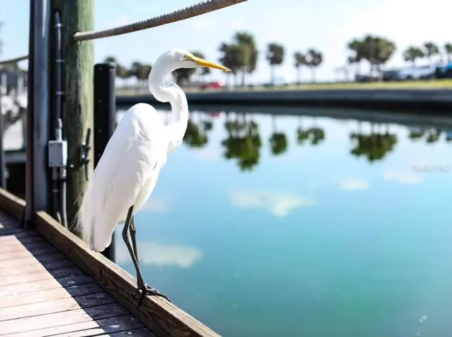 1170